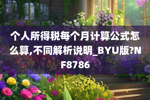 个人所得税每个月计算公式怎么算,不同解析说明_BYU版?NF8786