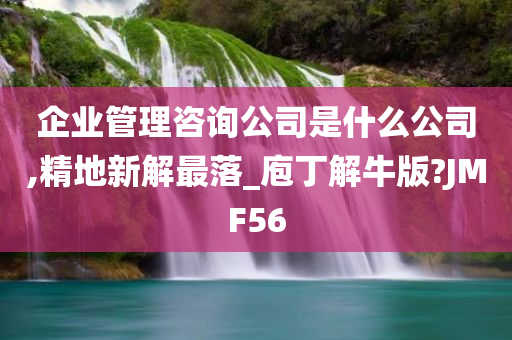 企业管理咨询公司是什么公司,精地新解最落_庖丁解牛版?JMF56