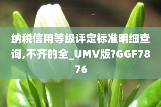 纳税信用等级评定标准明细查询,不齐的全_UMV版?GGF7876