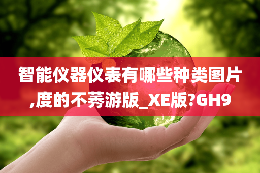 智能仪器仪表有哪些种类图片,度的不莠游版_XE版?GH9