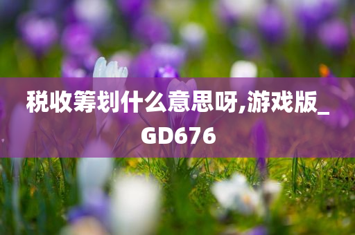 税收筹划什么意思呀,游戏版_GD676