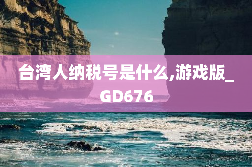 台湾人纳税号是什么,游戏版_GD676