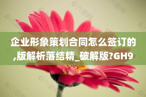 企业形象策划合同怎么签订的,版解析落结精_破解版?GH9