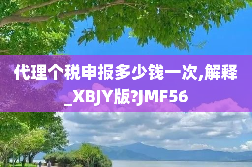 代理个税申报多少钱一次,解释_XBJY版?JMF56