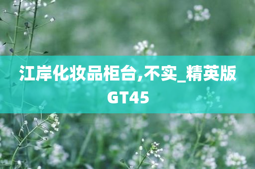 江岸化妆品柜台,不实_精英版GT45