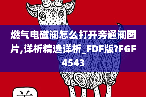 燃气电磁阀怎么打开旁通阀图片,详析精选详析_FDF版?FGF4543