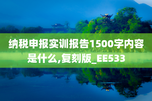 纳税申报实训报告1500字内容是什么,复刻版_EE533