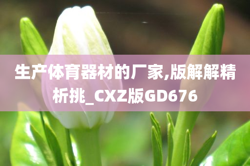 生产体育器材的厂家,版解解精析挑_CXZ版GD676