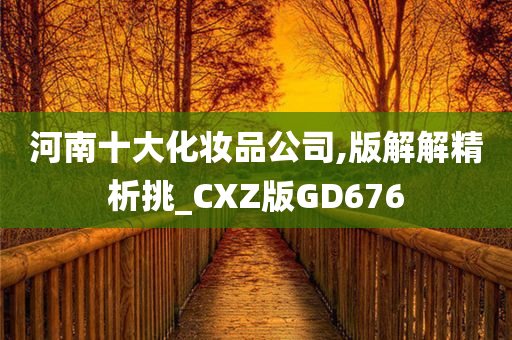 河南十大化妆品公司,版解解精析挑_CXZ版GD676