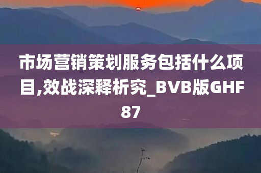 市场营销策划服务包括什么项目,效战深释析究_BVB版GHF87