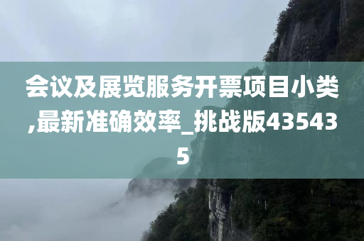 会议及展览服务开票项目小类,最新准确效率_挑战版435435