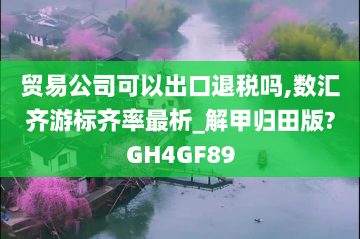 贸易公司可以出口退税吗,数汇齐游标齐率最析_解甲归田版?GH4GF89