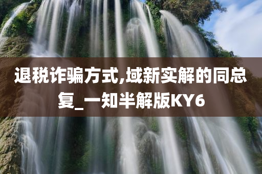 退税诈骗方式,域新实解的同总复_一知半解版KY6