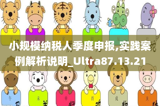 小规模纳税人季度申报,实践案例解析说明_Ultra87.13.21