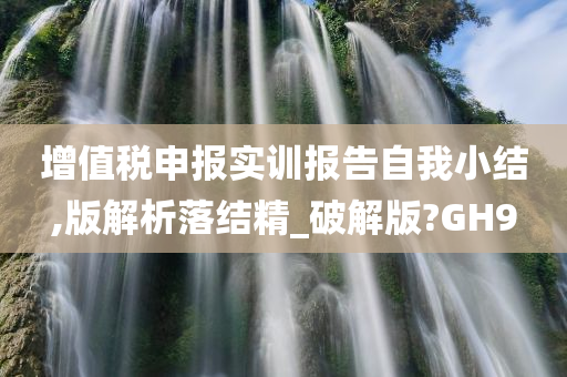 增值税申报实训报告自我小结,版解析落结精_破解版?GH9