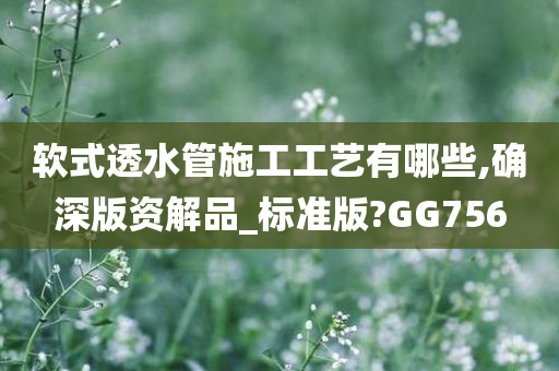 软式透水管施工工艺有哪些,确深版资解品_标准版?GG756