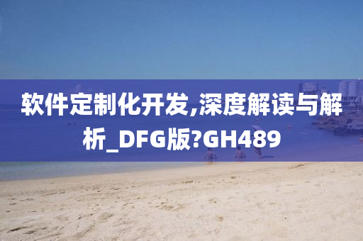 软件定制化开发,深度解读与解析_DFG版?GH489