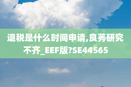 退税是什么时间申请,良莠研究不齐_EEF版?SE44565