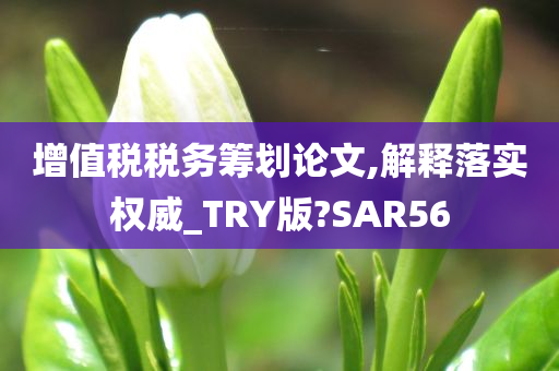 增值税税务筹划论文,解释落实权威_TRY版?SAR56