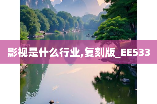 影视是什么行业,复刻版_EE533