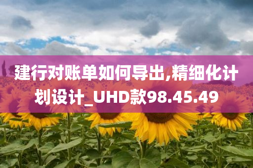 建行对账单如何导出,精细化计划设计_UHD款98.45.49