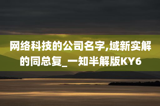 网络科技的公司名字,域新实解的同总复_一知半解版KY6