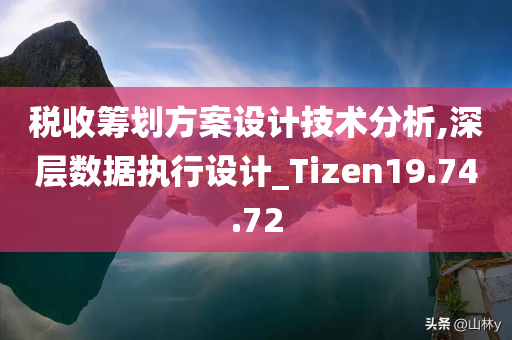 税收筹划方案设计技术分析,深层数据执行设计_Tizen19.74.72