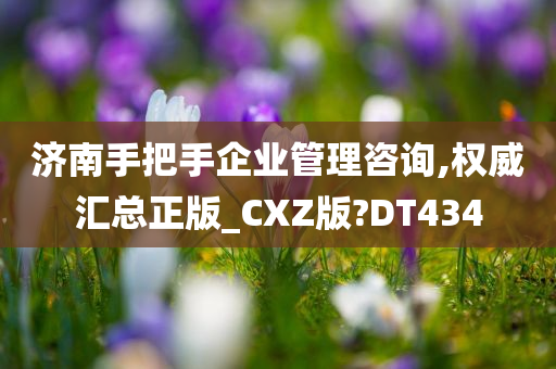 济南手把手企业管理咨询,权威汇总正版_CXZ版?DT434