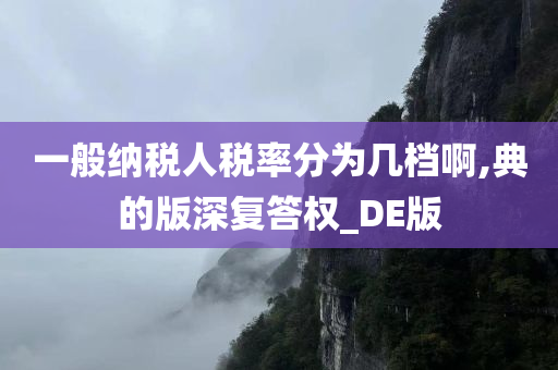 一般纳税人税率分为几档啊,典的版深复答权_DE版