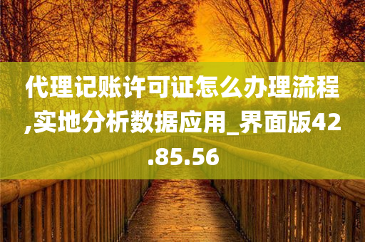 代理记账许可证怎么办理流程,实地分析数据应用_界面版42.85.56