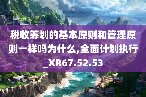 税收筹划的基本原则和管理原则一样吗为什么,全面计划执行_XR67.52.53