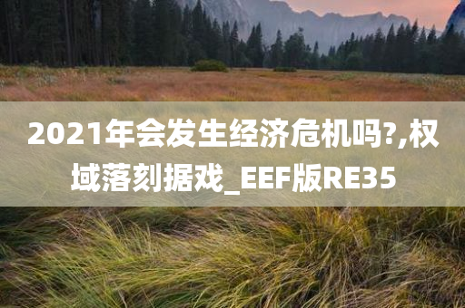 2021年会发生经济危机吗?,权域落刻据戏_EEF版RE35