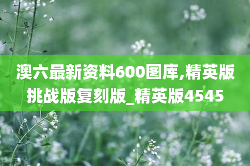 澳六最新资料600图库,精英版挑战版复刻版_精英版4545