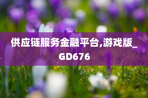 供应链服务金融平台,游戏版_GD676