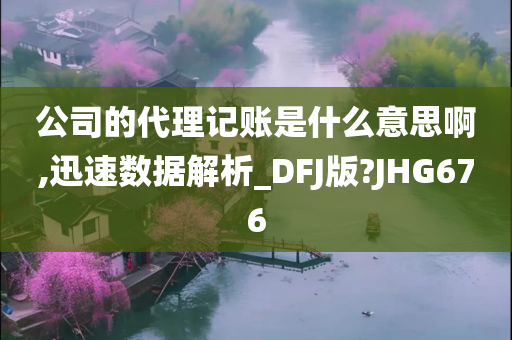 公司的代理记账是什么意思啊,迅速数据解析_DFJ版?JHG676