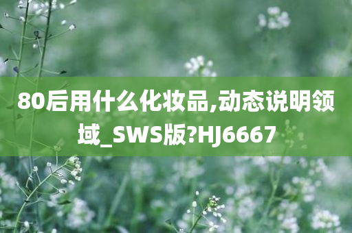 80后用什么化妆品,动态说明领域_SWS版?HJ6667