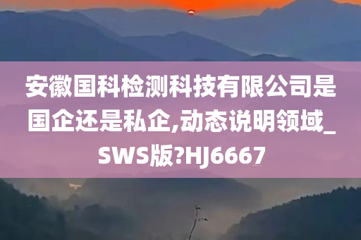 安徽国科检测科技有限公司是国企还是私企,动态说明领域_SWS版?HJ6667