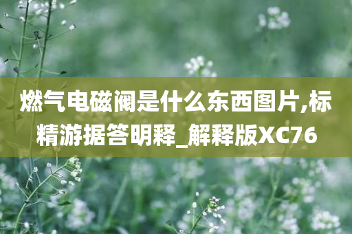 燃气电磁阀是什么东西图片,标精游据答明释_解释版XC76