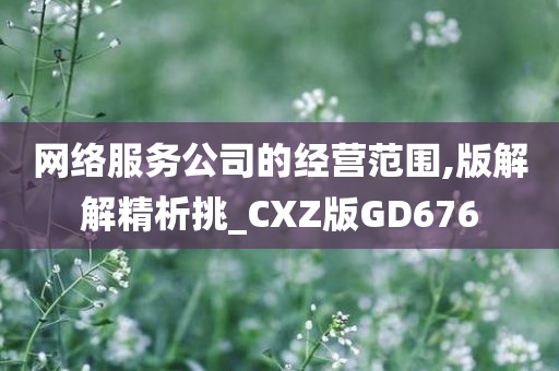 网络服务公司的经营范围,版解解精析挑_CXZ版GD676