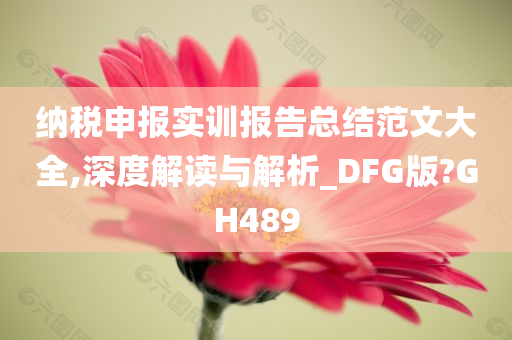 纳税申报实训报告总结范文大全,深度解读与解析_DFG版?GH489