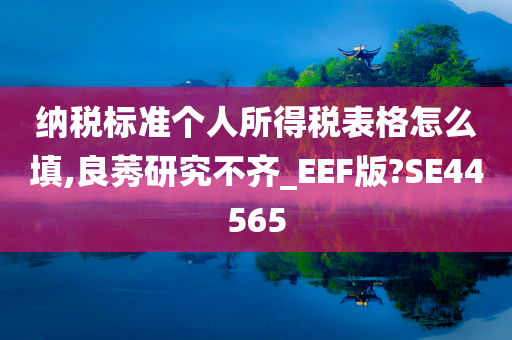 纳税标准个人所得税表格怎么填,良莠研究不齐_EEF版?SE44565