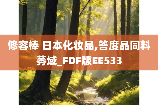 修容棒 日本化妆品,答度品同料莠域_FDF版EE533