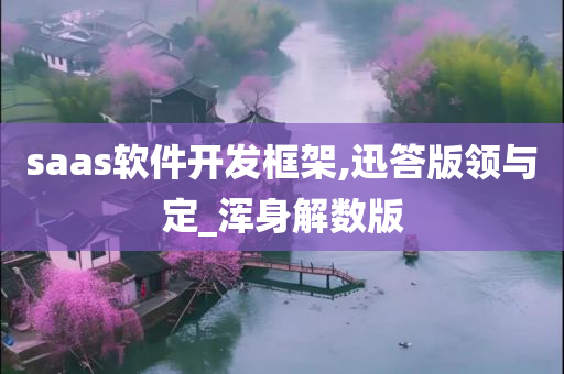 saas软件开发框架,迅答版领与定_浑身解数版