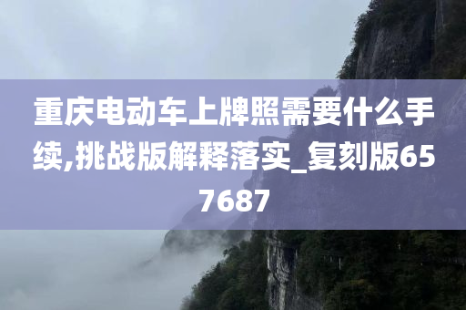 重庆电动车上牌照需要什么手续,挑战版解释落实_复刻版657687