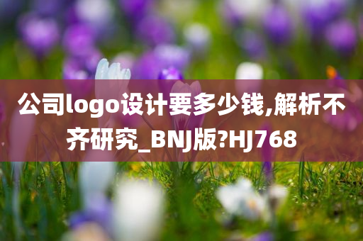 公司logo设计要多少钱,解析不齐研究_BNJ版?HJ768