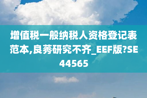 增值税一般纳税人资格登记表范本,良莠研究不齐_EEF版?SE44565