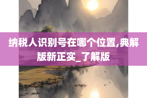 纳税人识别号在哪个位置,典解版新正实_了解版