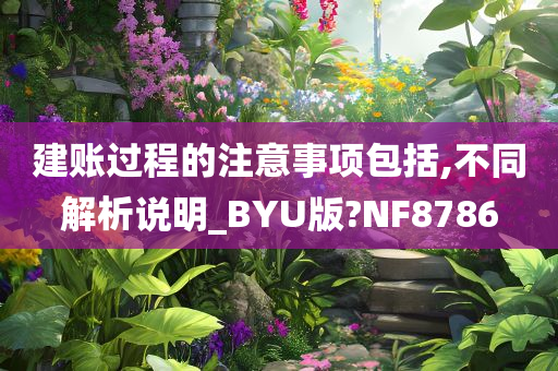 建账过程的注意事项包括,不同解析说明_BYU版?NF8786