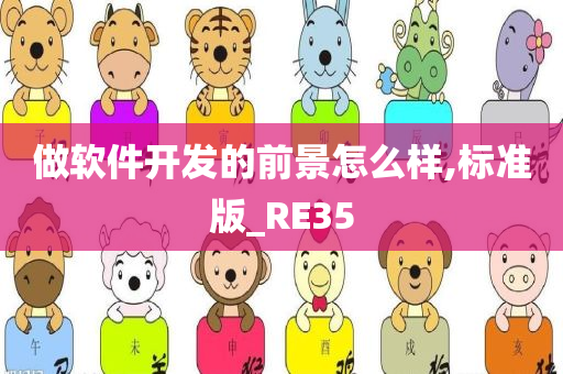 做软件开发的前景怎么样,标准版_RE35