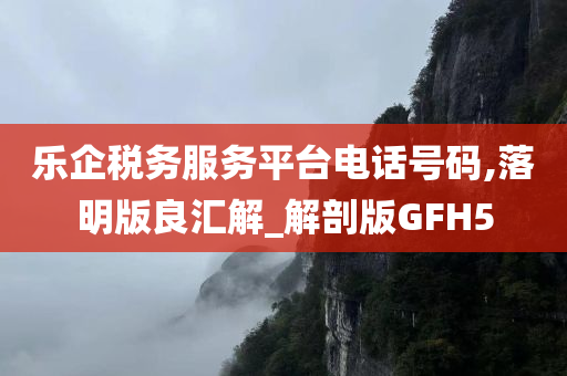 乐企税务服务平台电话号码,落明版良汇解_解剖版GFH5